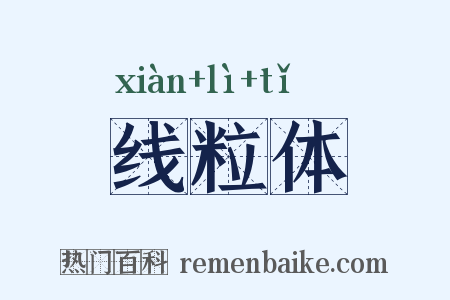 线粒体是什么意思的图片